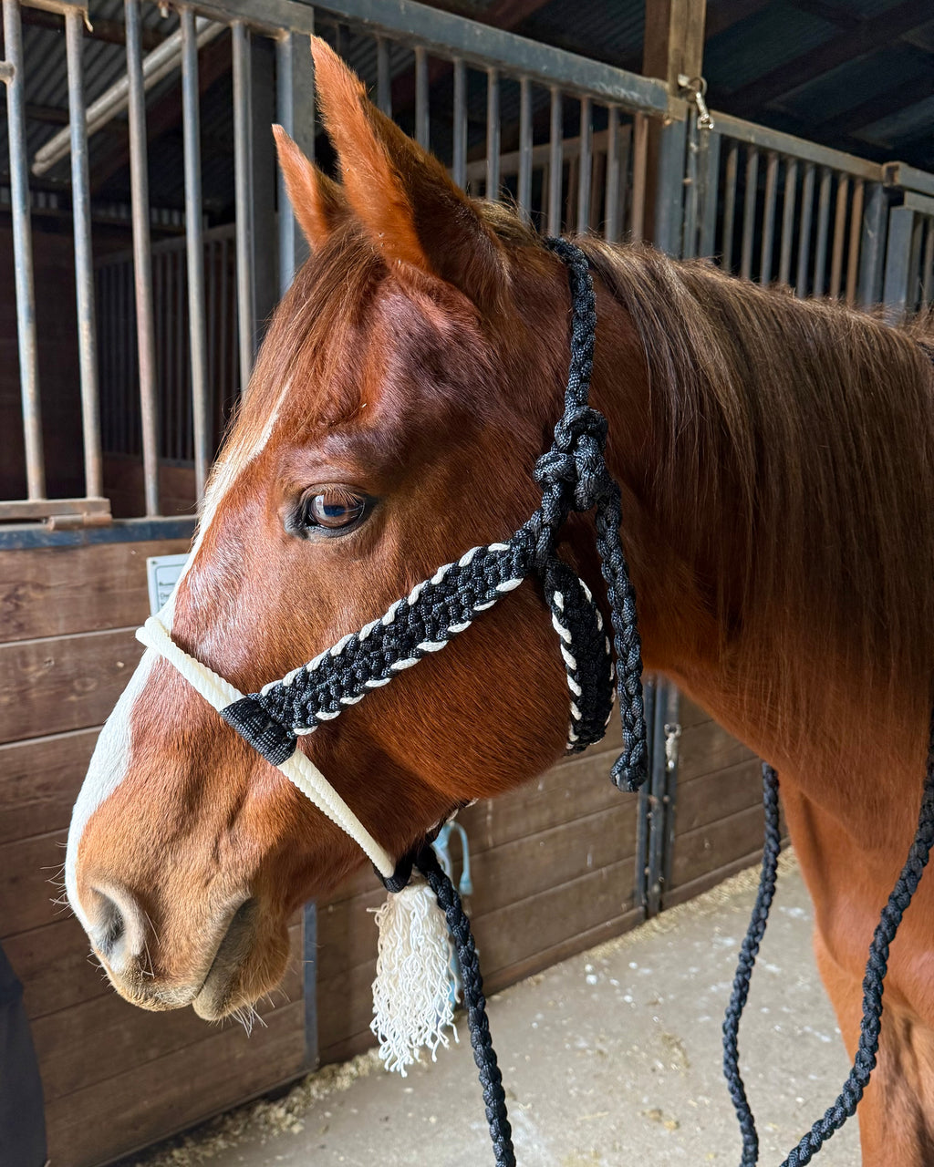 Customized Twisted Sister - $85