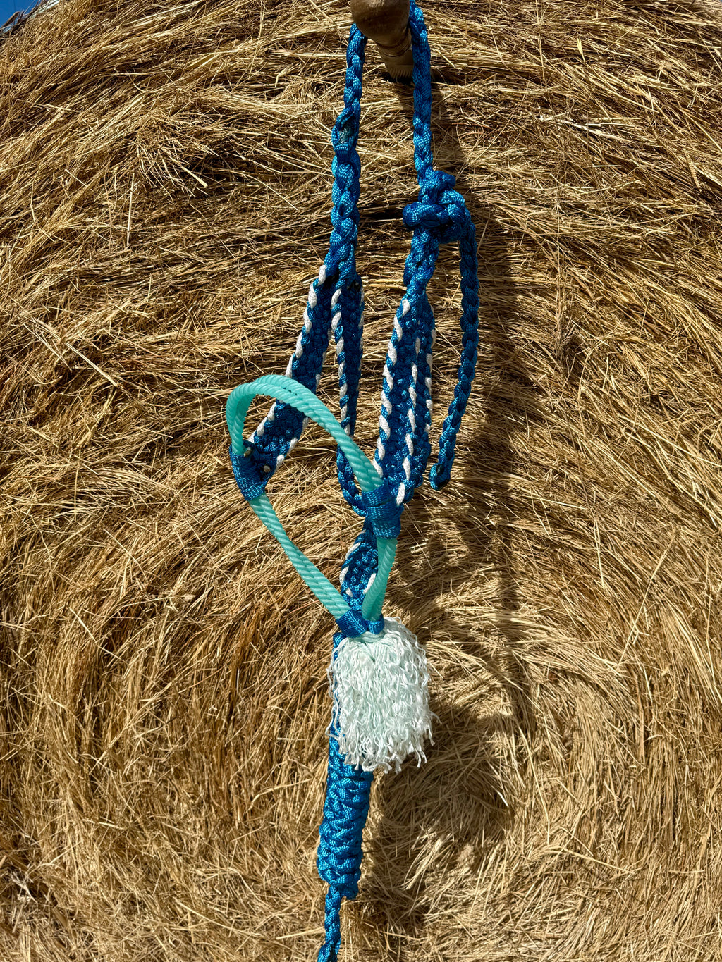 Royal Blue/White Twisted Sister