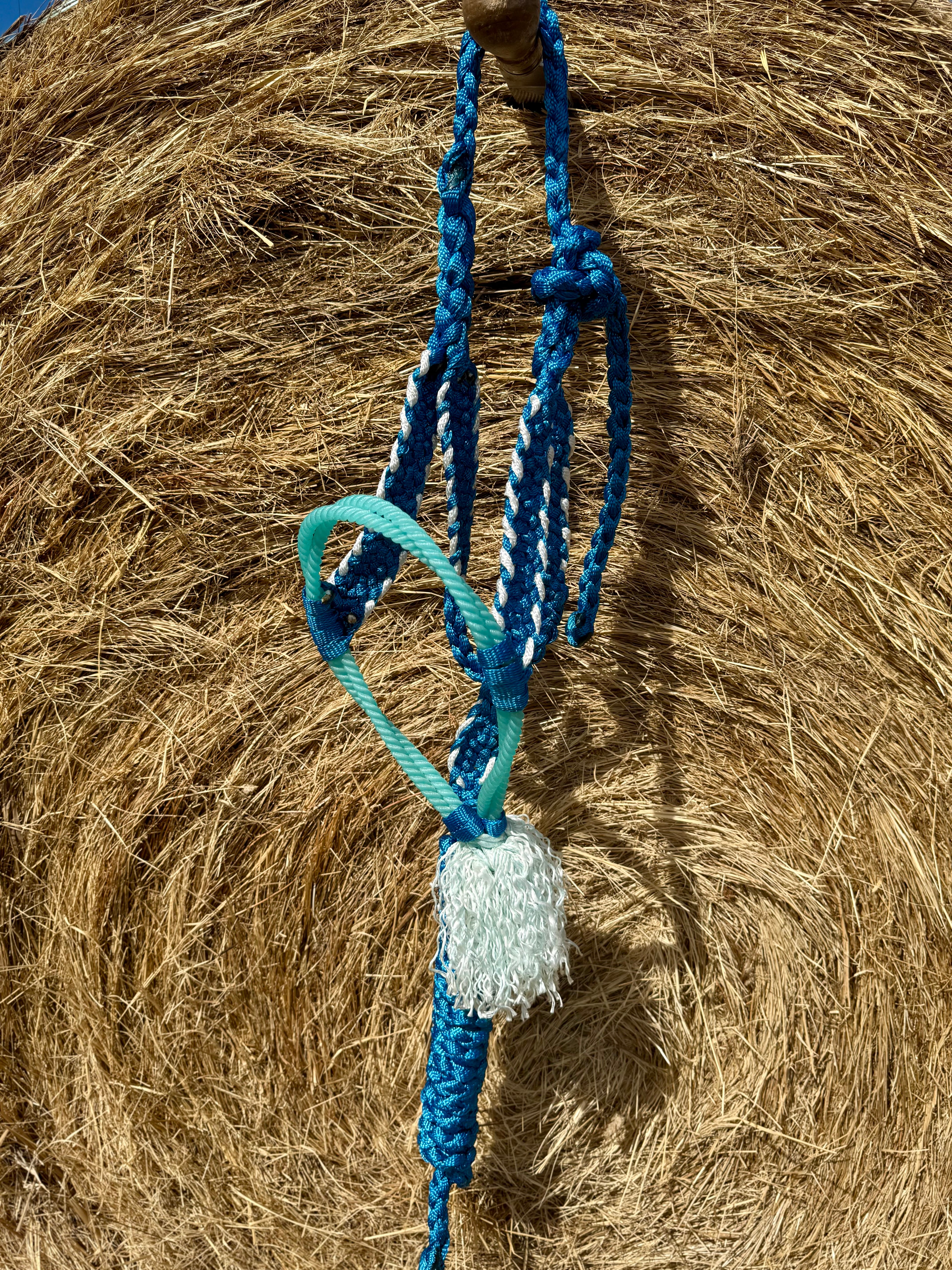 Royal Blue/White Twisted Sister