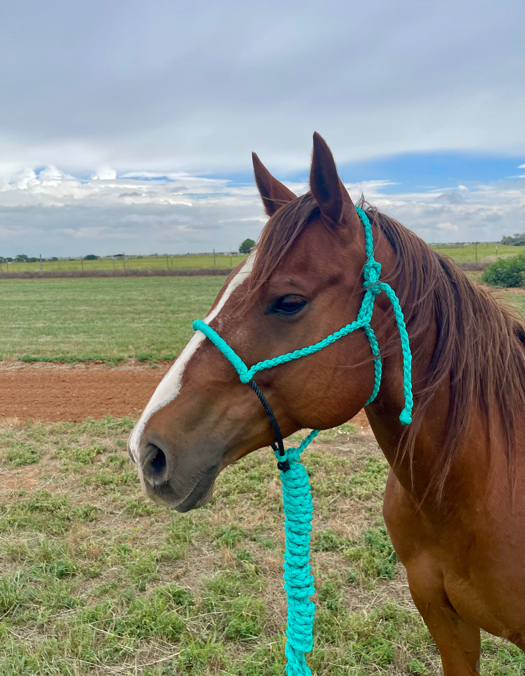 Customized Wrapped Riata