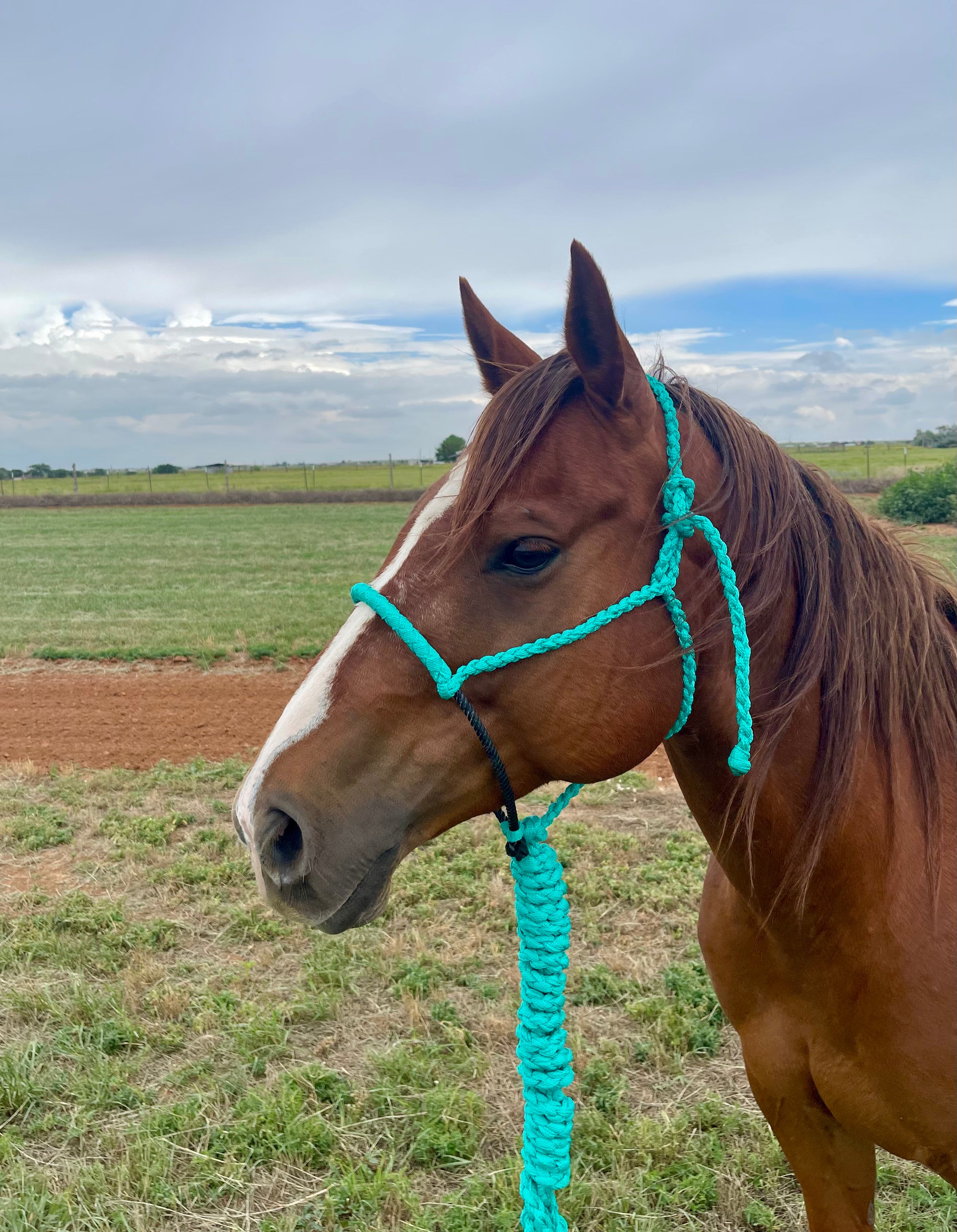 Customized Wrapped Riata