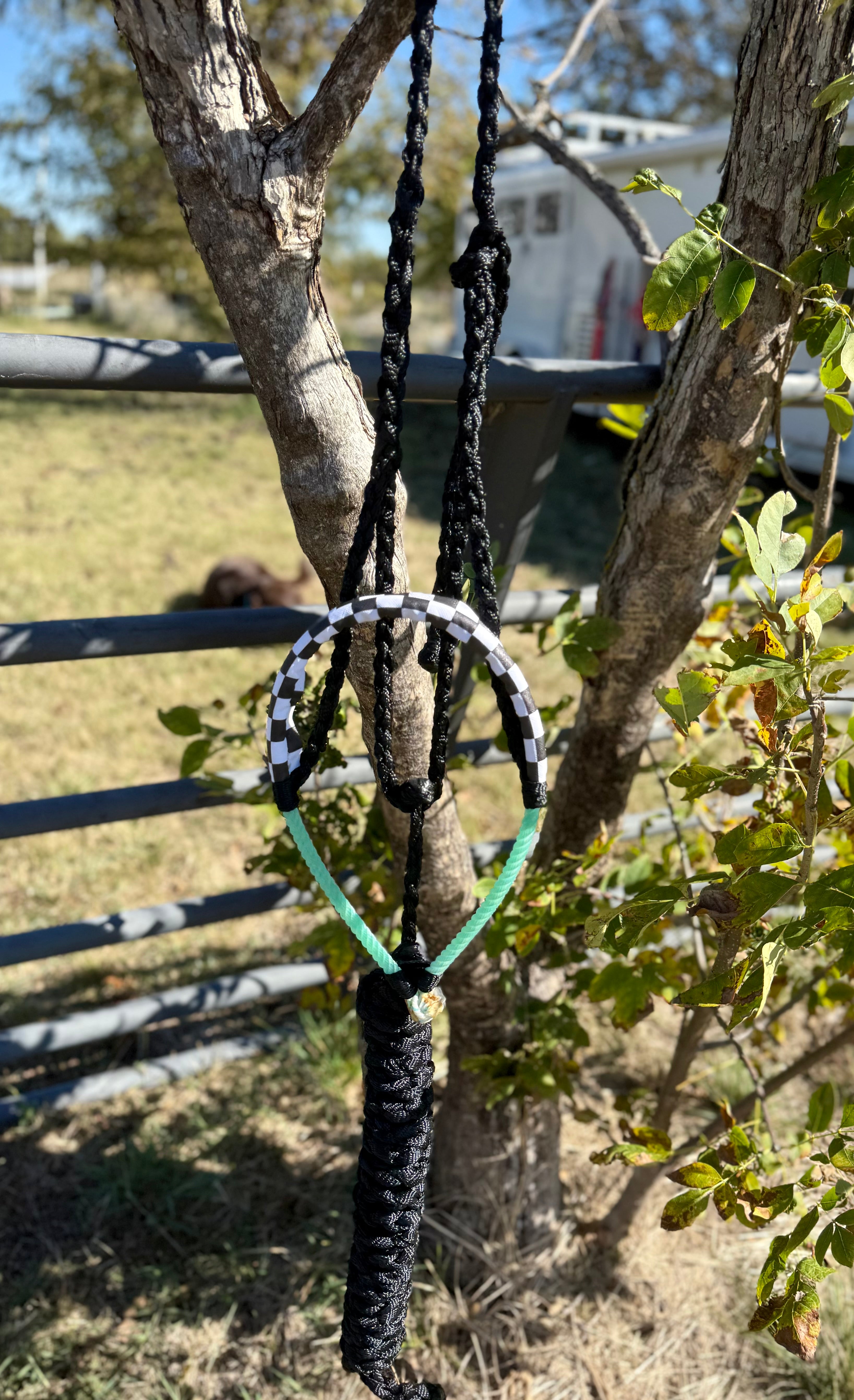 Black Checkered Pony