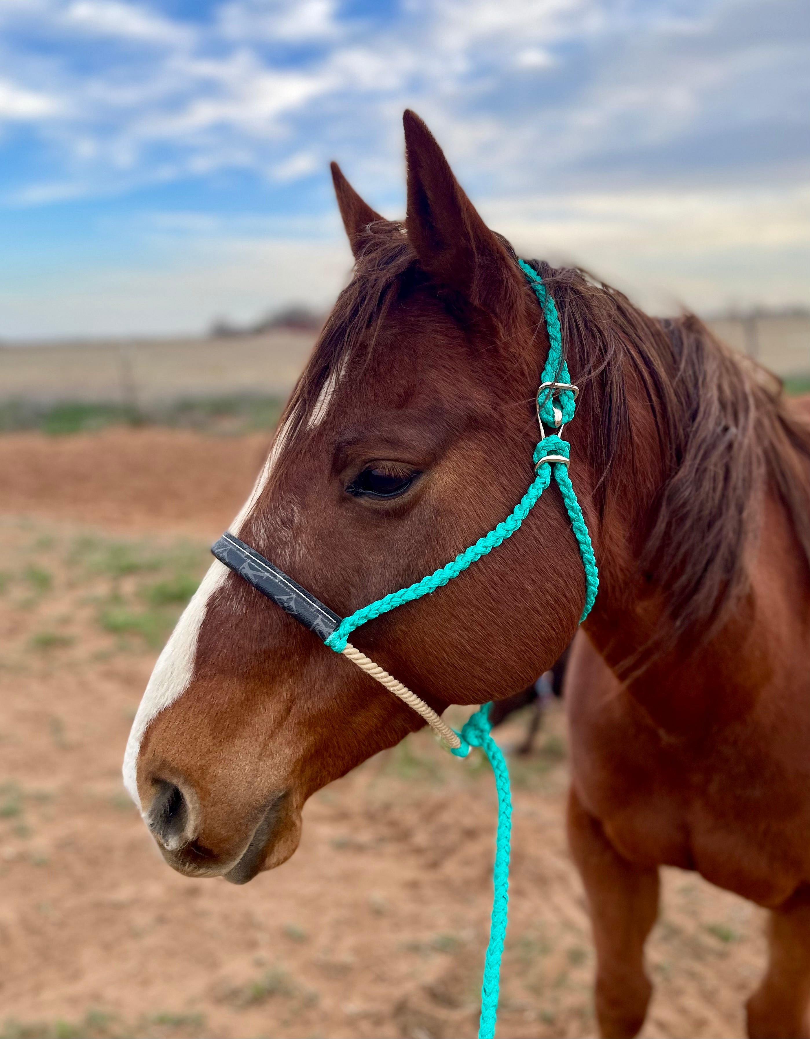 Customized Bougie Betty - Black