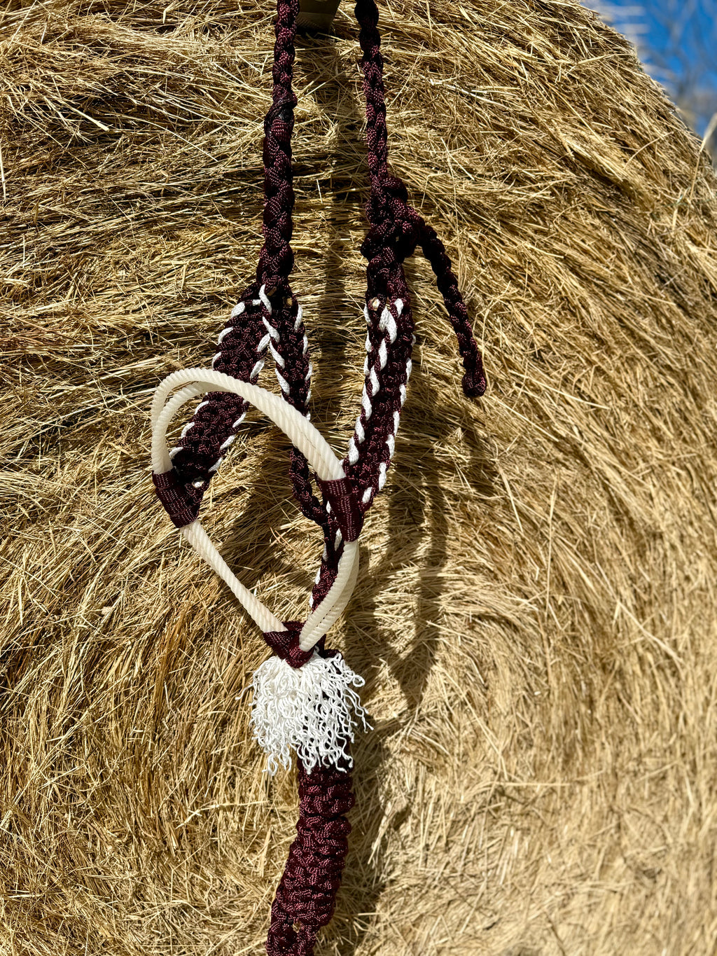 Burgundy/White Twisted Sister