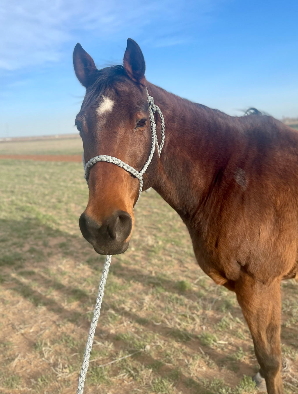 Customized Cowpuncher