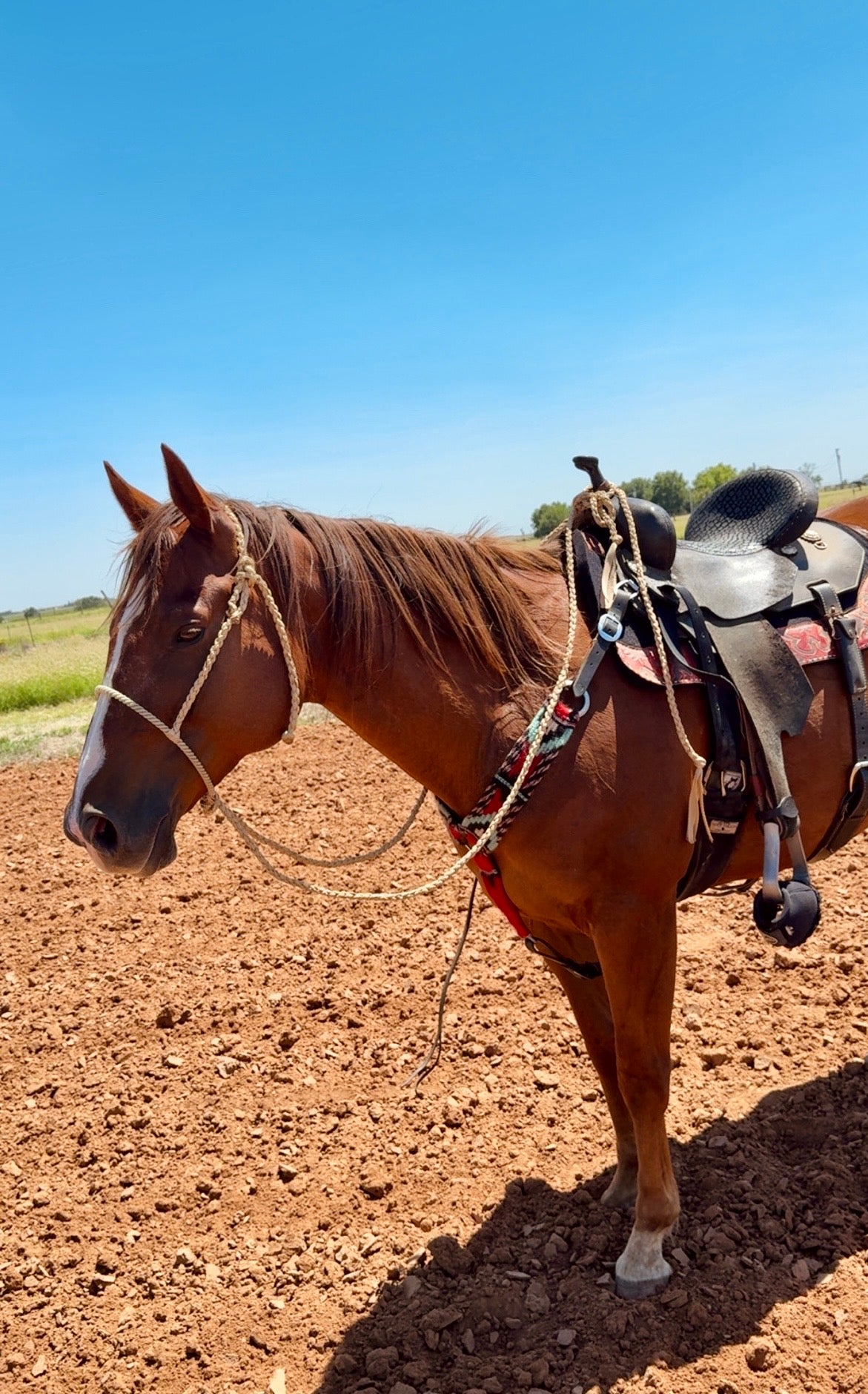 Customized Loan Loper