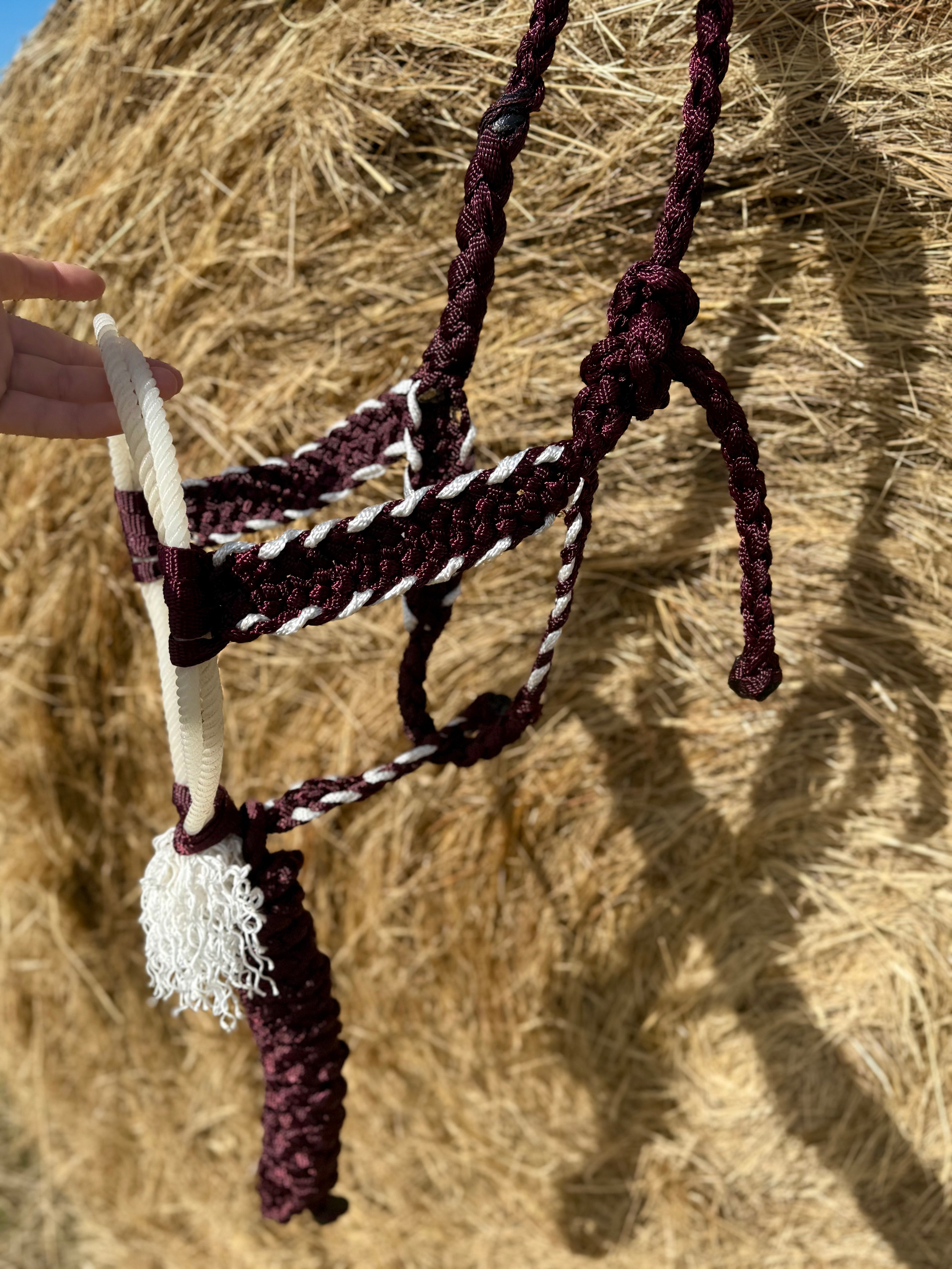 Burgundy/White Twisted Sister