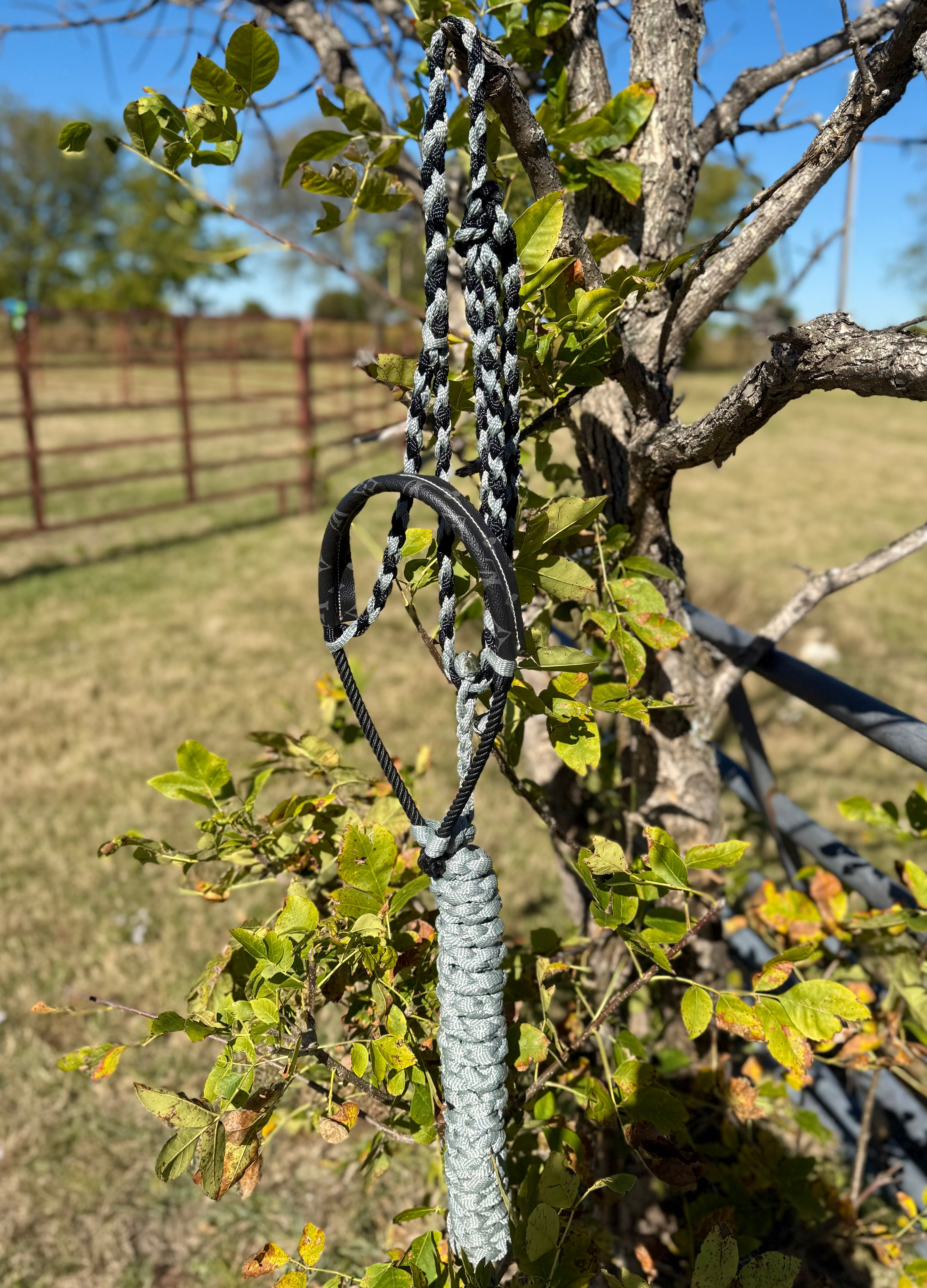 Black & Gray Bougie Betty