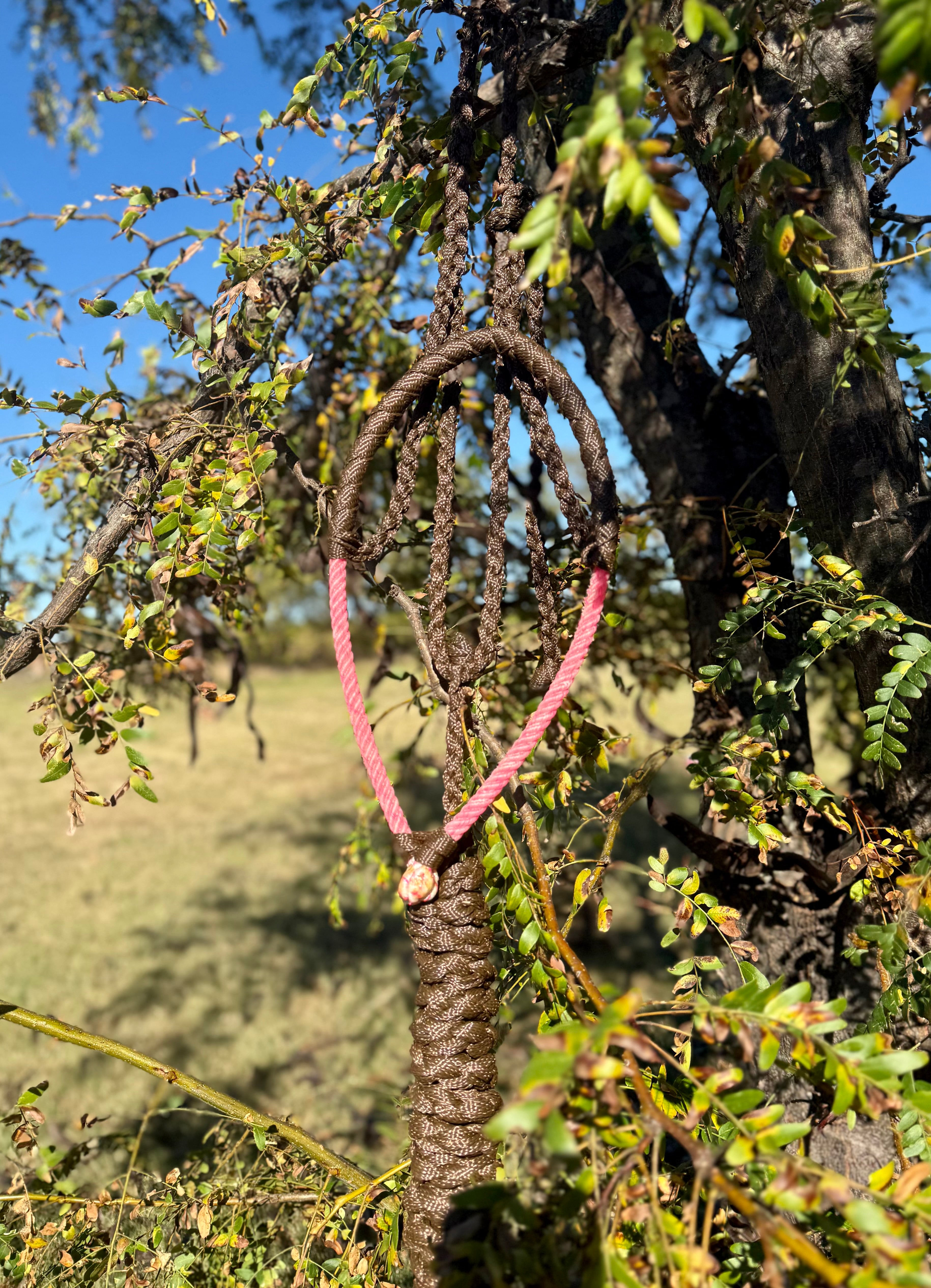 Chocolate Brown Wrapped Riata