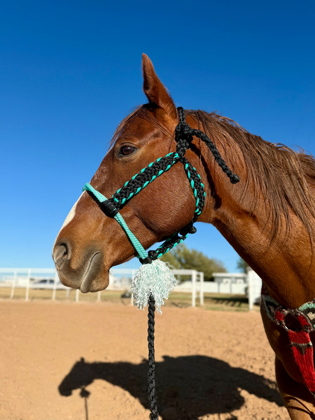 Customized Twisted Sister